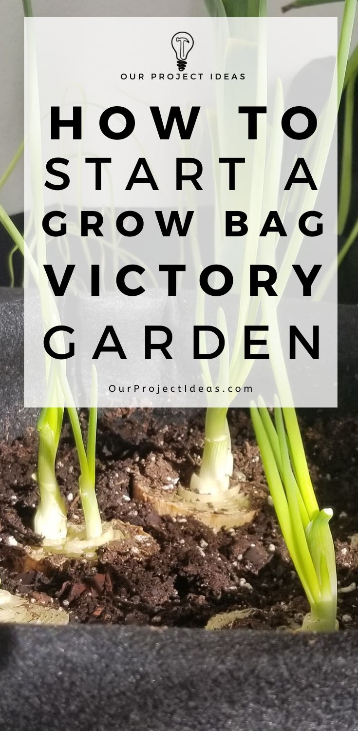 How To Start A Grow Bag Victory Garden